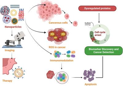 Nanoparticle-based biomolecules in cancer diagnosis, therapy, drug delivery and prognosis